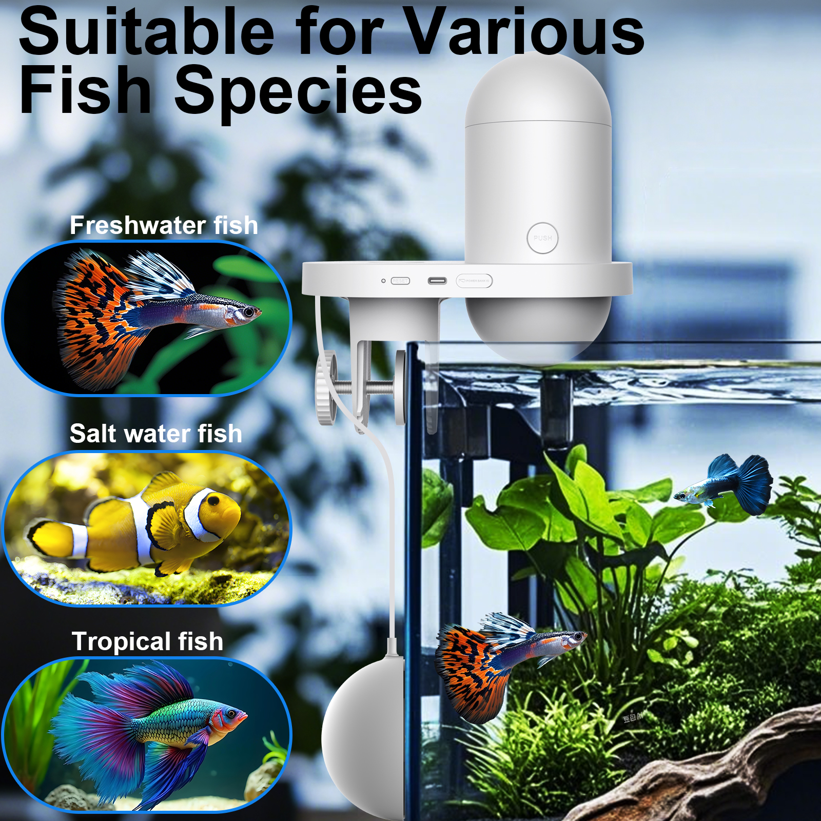 Automatic Fish Feeder With Cam - Fishing Line Dispenser 리뷰 및 가격