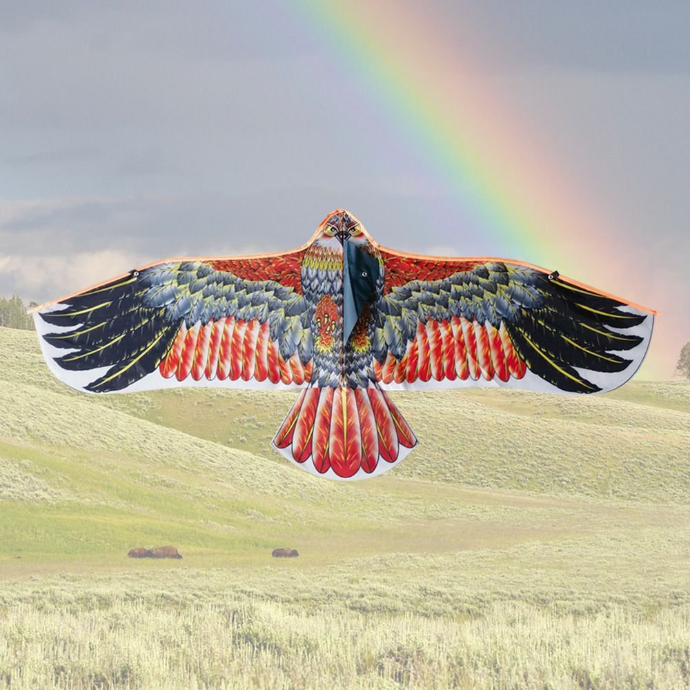 1.1m Eagle Kite With 30m Kite  - Fly Line 리뷰 및 가격